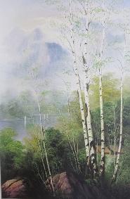 白桦树也有春天 油画 油画 客厅 手绘 装饰画